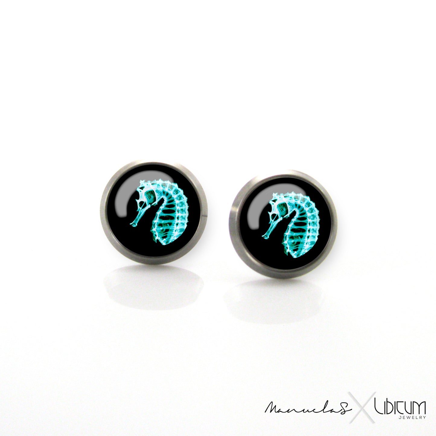 Sea horse, sea world, animal, sea earrings, summer jewelry, titanium earrings, black earrings, turquise earrings, blue earrings, sea post, sea horse studs